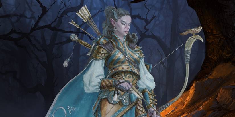 DnD 5e Guide: How to Build Subclasses & Popular Characters