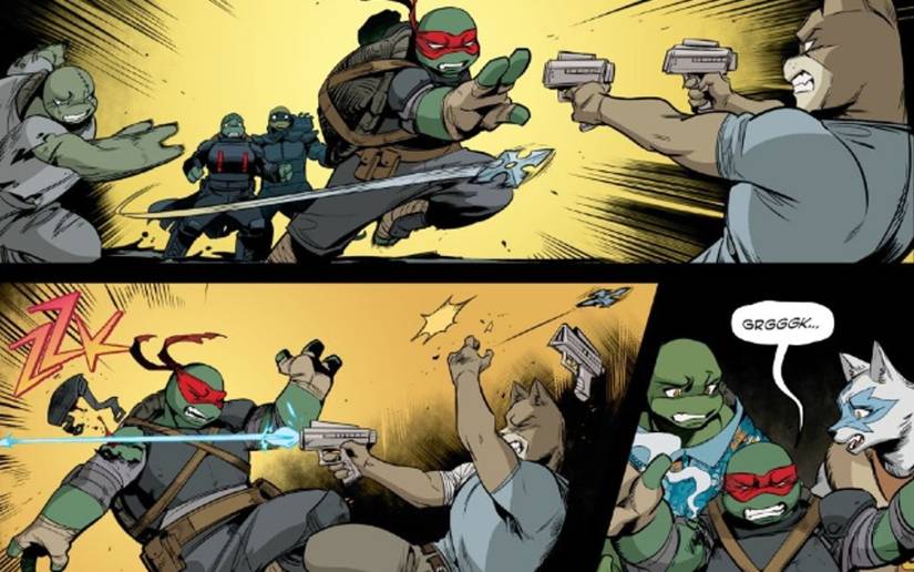 Teenage Mutant Ninja Turtles Gave Raphael a New Job - and It Almost Got ...
