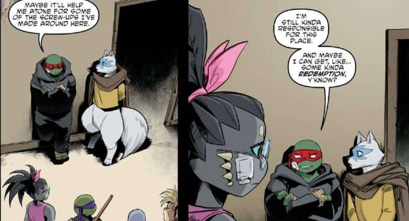 Teenage Mutant Ninja Turtles Gave Raphael a New Job - and It Almost Got ...