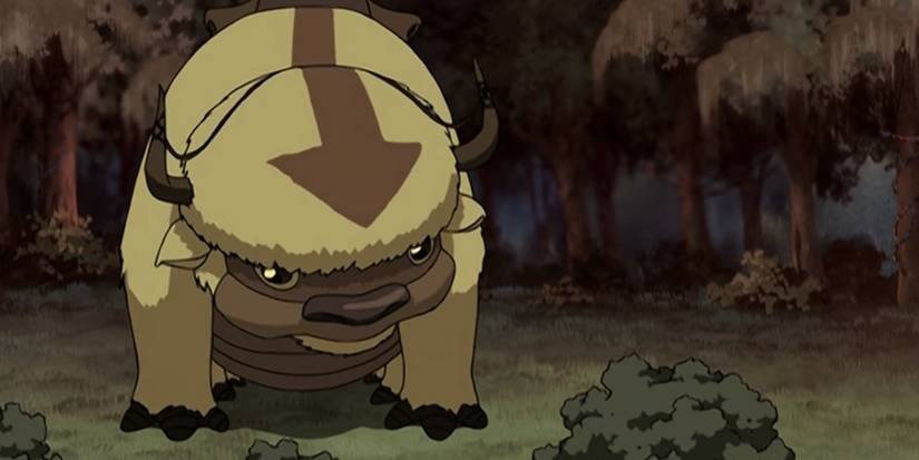 Avatar: The Last Airbender: 5 Animals We Wish Existed (& 5 We're Happy ...