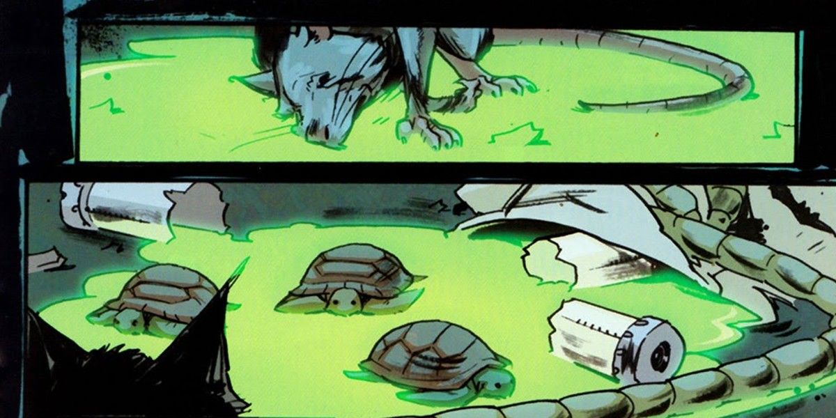 15 Best TMNT Comic Story Arcs from IDW, Ranked