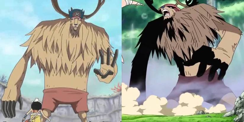 Transformed Chopper One Piece: Chopper's Transformations, Explained