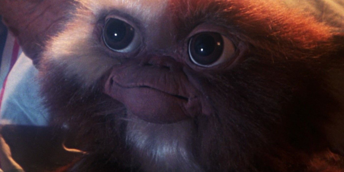 Gremlins: The Mogwai's Powers, Weaknesses and Origin, Explained