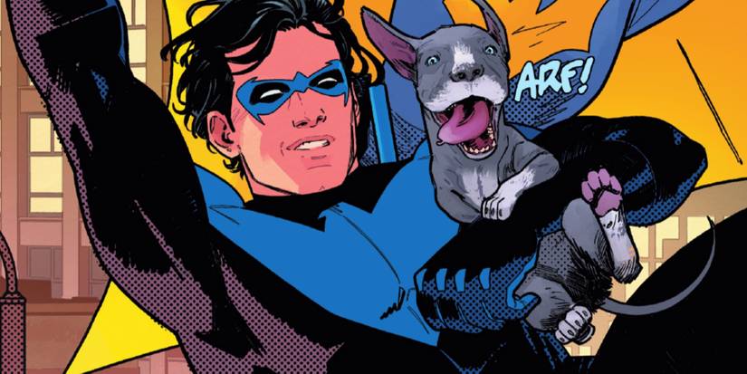 Nightwing With Bitewing Barking