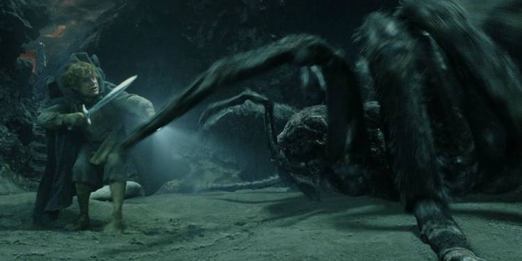 Samwise Images The Spiders in The Lord of the Rings and The Hobbit, Explained
