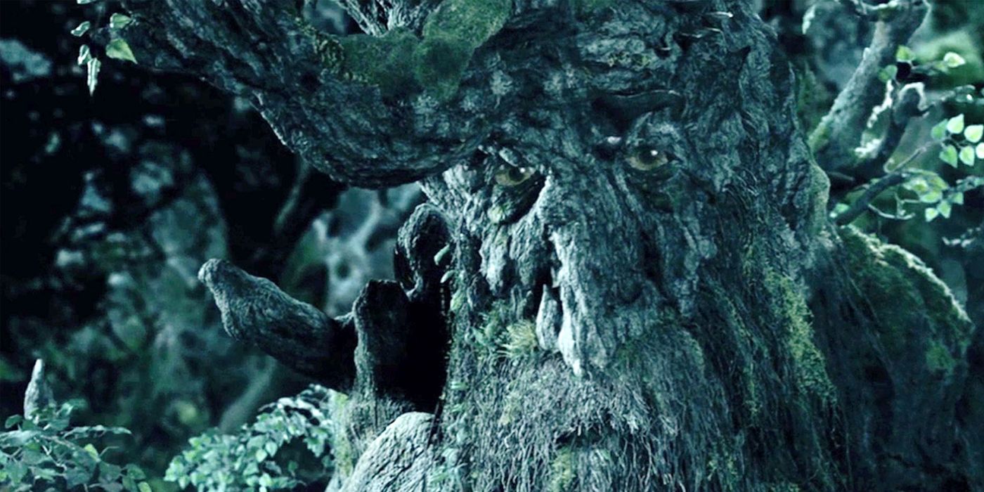 What is Fangorn Forest in The Lord of the Rings?
