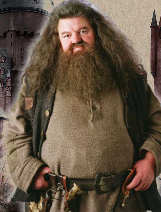 Harry Potter TV Show Unveils First Look At Nick Frost s Hagrid harry-potter-tv-show-unveils-first-look-at-nick-frost-s-hagrid