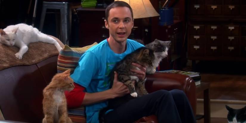 The Big Bang Theory: 10 Times Sheldon Went Too Far
