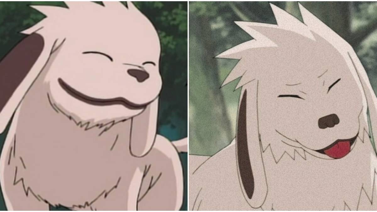 Akamaru Ruruna Naruto: 10 Things You Didn't Know About Akamaru