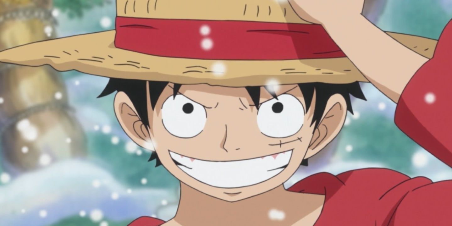 One Piece Monkey D. Luffy Cropped Cropped