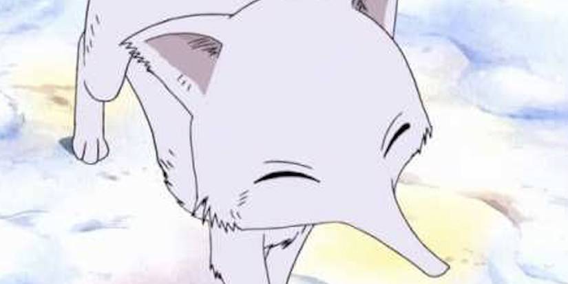 Top 10 Animal Companions In One Piece