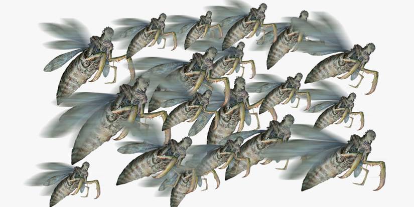 Insect Spell DnD 5e: The Best Swarmkeeper Ranger Build