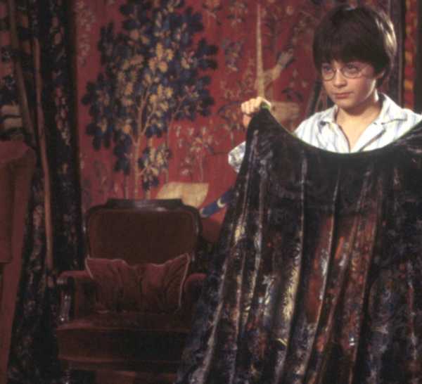 Potterer Harry Potter’s Complete Family Tree, Explained
