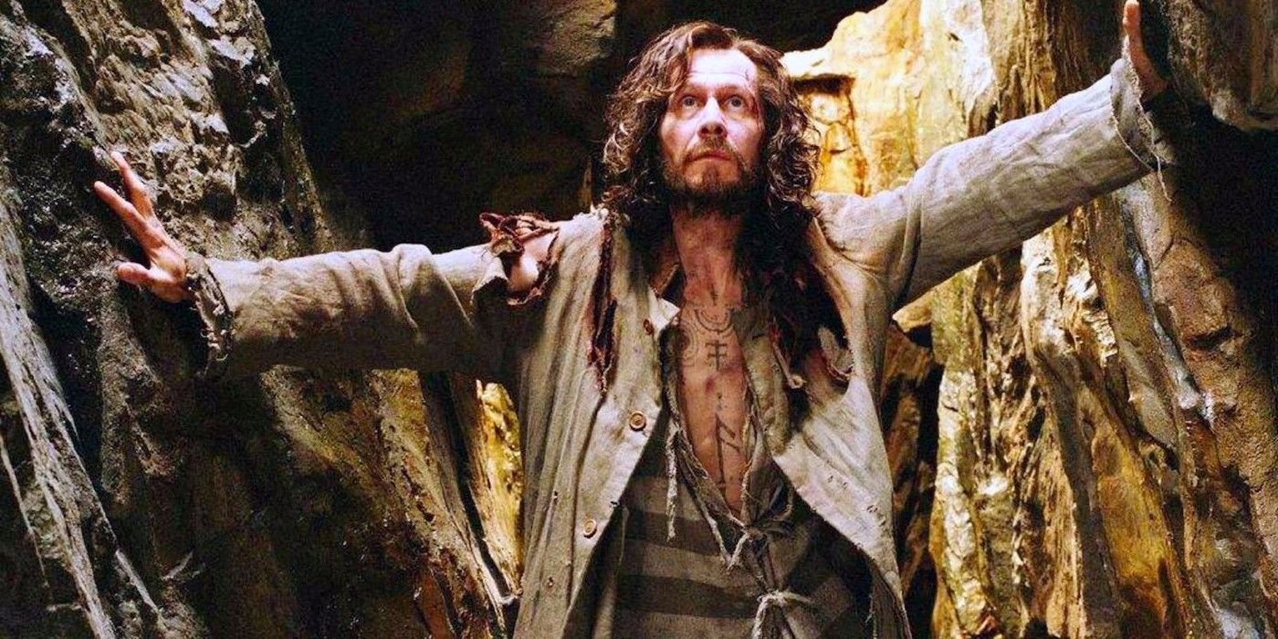 Harry Potter: Who Are the Most Important Characters in the Series?