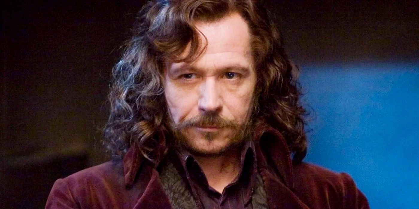 Harry Potter: Who Are the Most Important Characters in the Series?