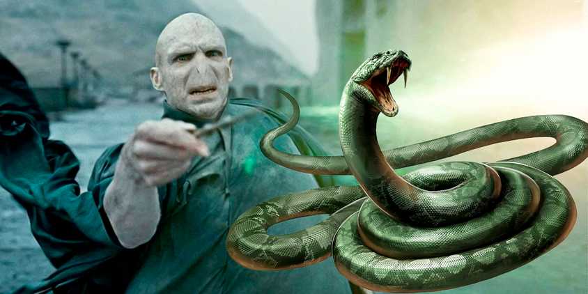 Voldemort Fangs Every Horcrux Victim and How Voldemort Killed Them