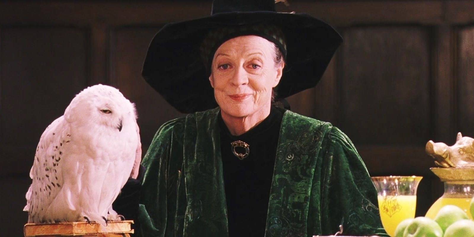 10 Major Harry Potter Scenes That Prove McGonagall's Importance