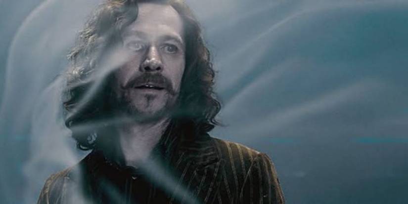 Gary Oldman as Sirius Black falling into the veil of Harry Potter and the Order of Phoenix
