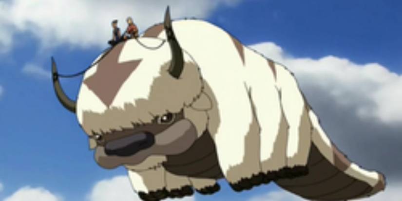 The 10 Best Avatar Side Characters, Ranked