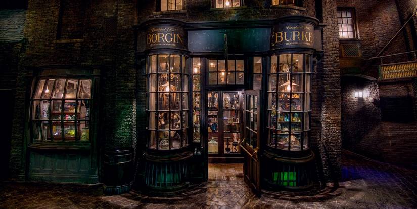 Borgin 9 Details About Voldemort Only Book Readers Know