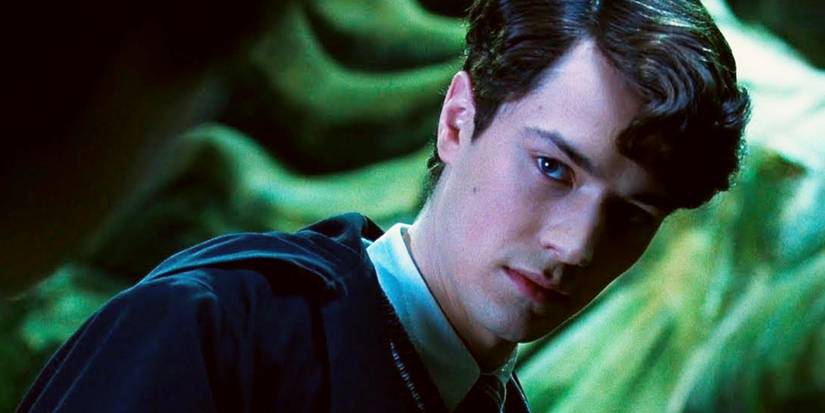 Tom Riddle Mad 10 Most Powerful Muggles in Harry Potter, Ranked