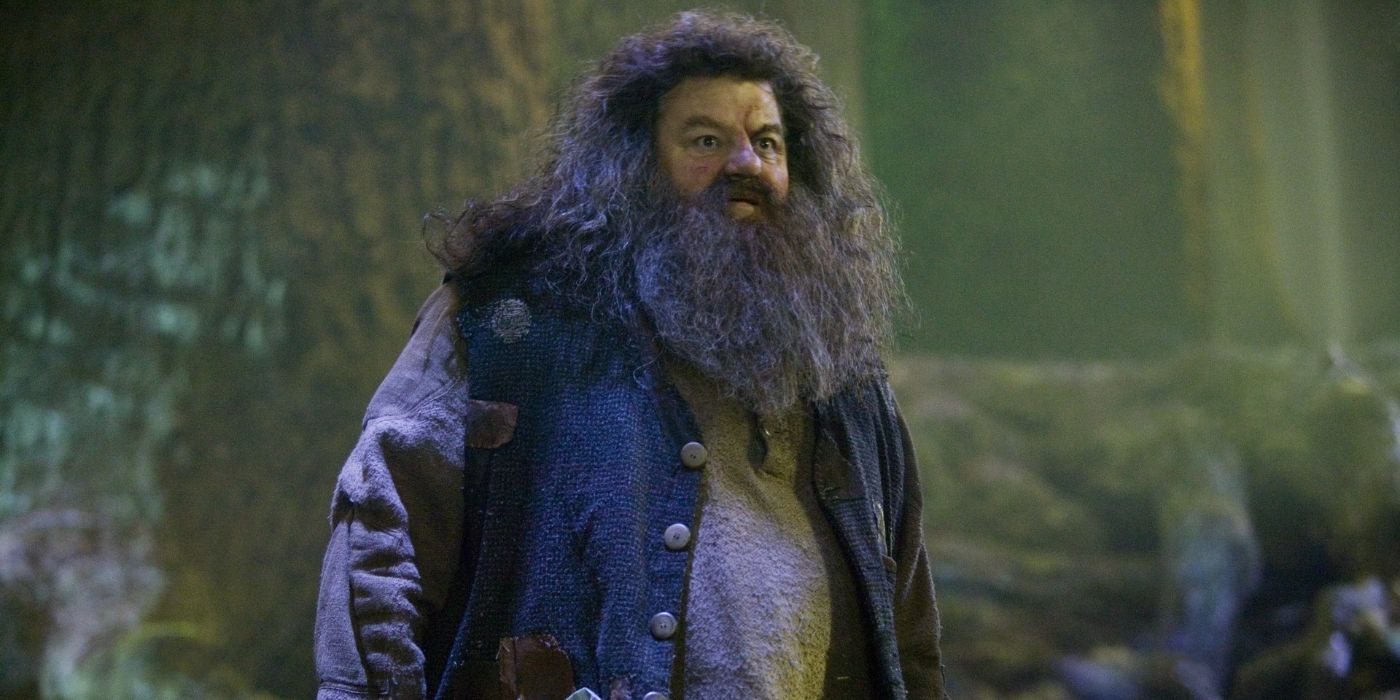 Harry Potter’s Big Hagrid Secret Makes Way More Sense 19 Years Later