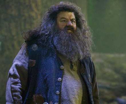 Harry Potter’s Big Hagrid Secret Makes Way More Sense 19 Years Later