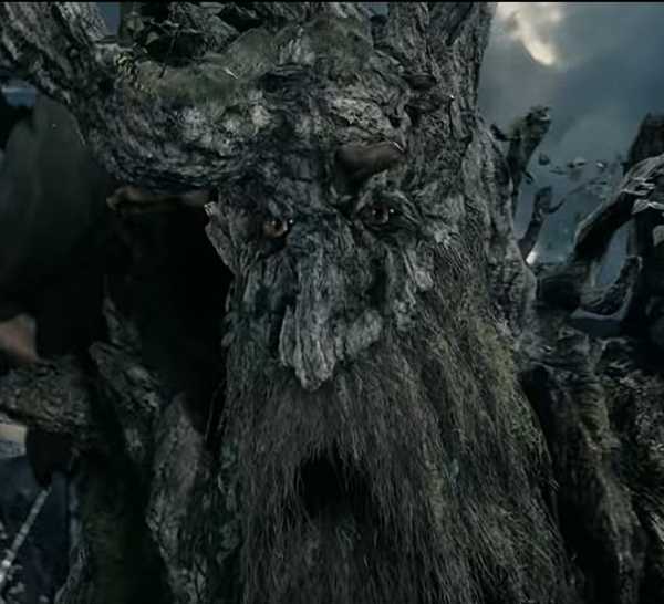 Ent Treebeard Every Ent Named in The Lord of the Rings