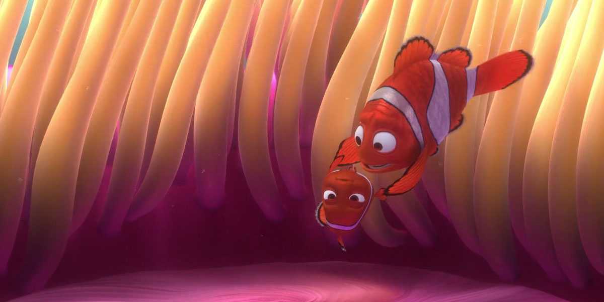 Socket Nemo Clownfish Nemo Agus Marlin