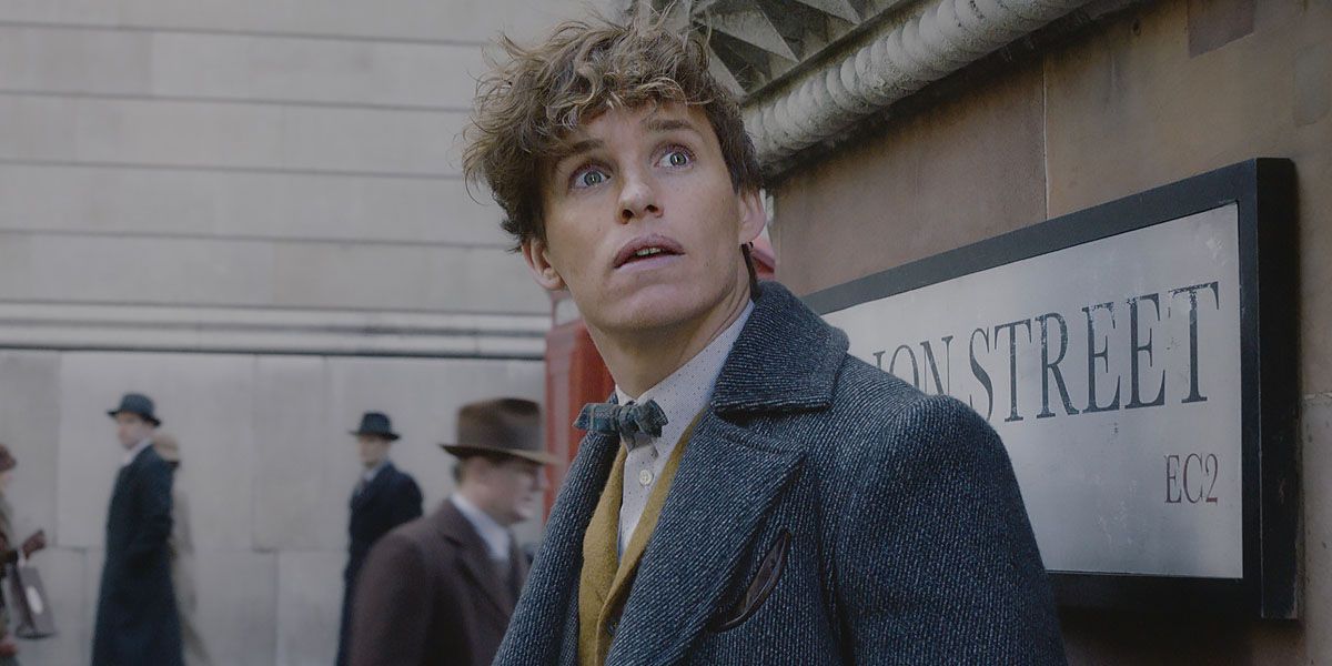 Newt Scamander's Connections to Harry Potter's Story, Explained