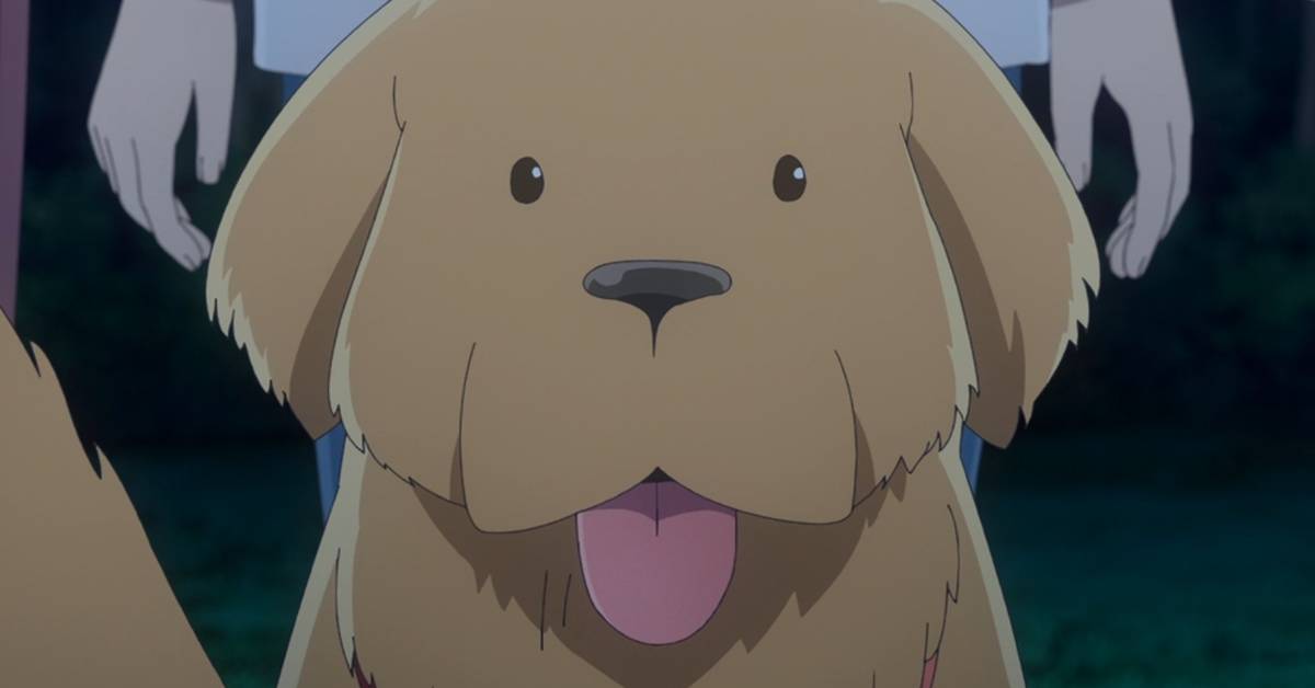 Dessin Animé K9 Bull Terriers In Animation | Rackliffelikespurple's