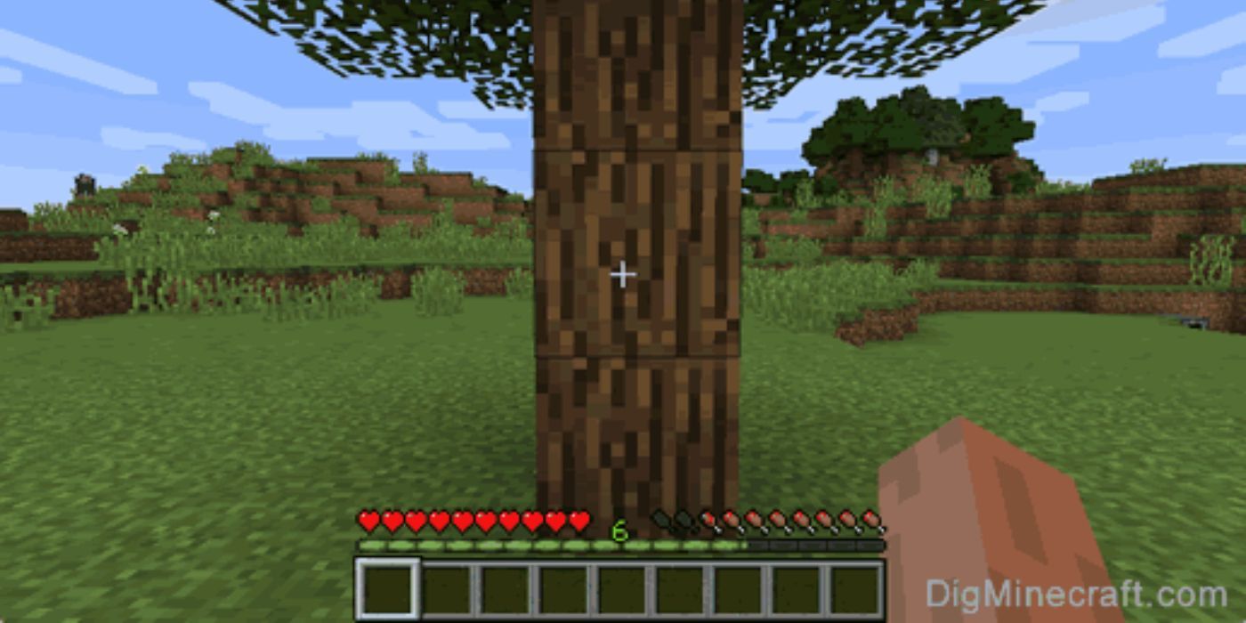 10 Best Survival Games Where You Actually Start With Nothing