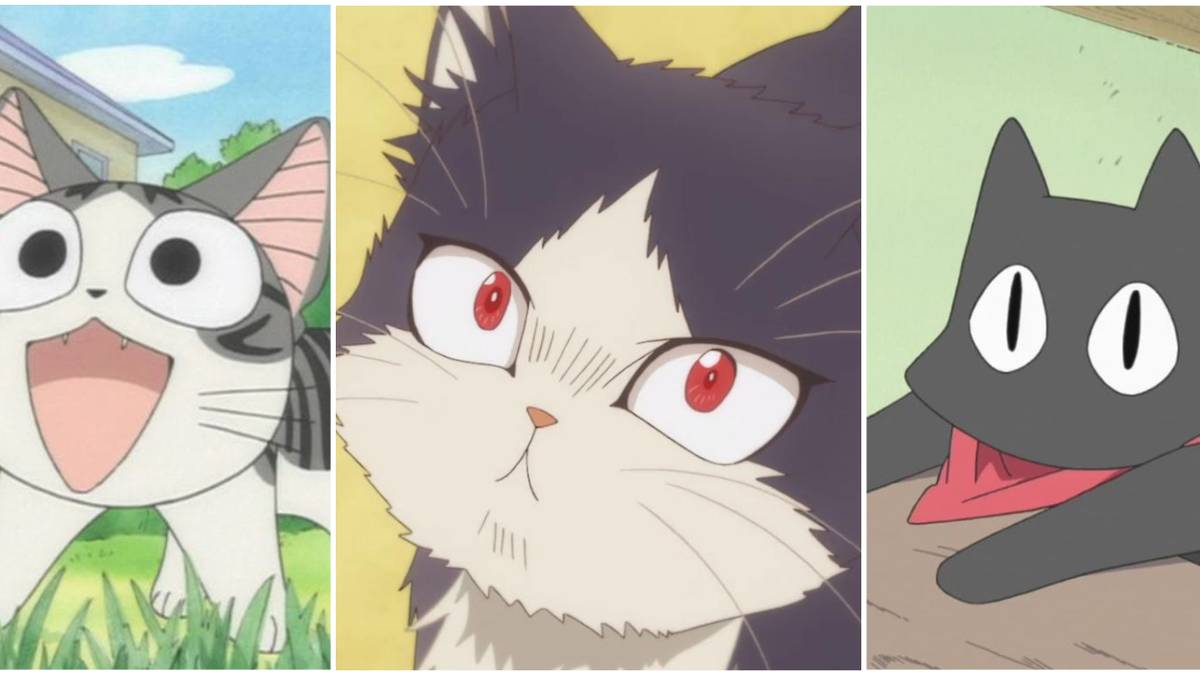 10 Best Anime For Cat Lovers, image size:1200x675
