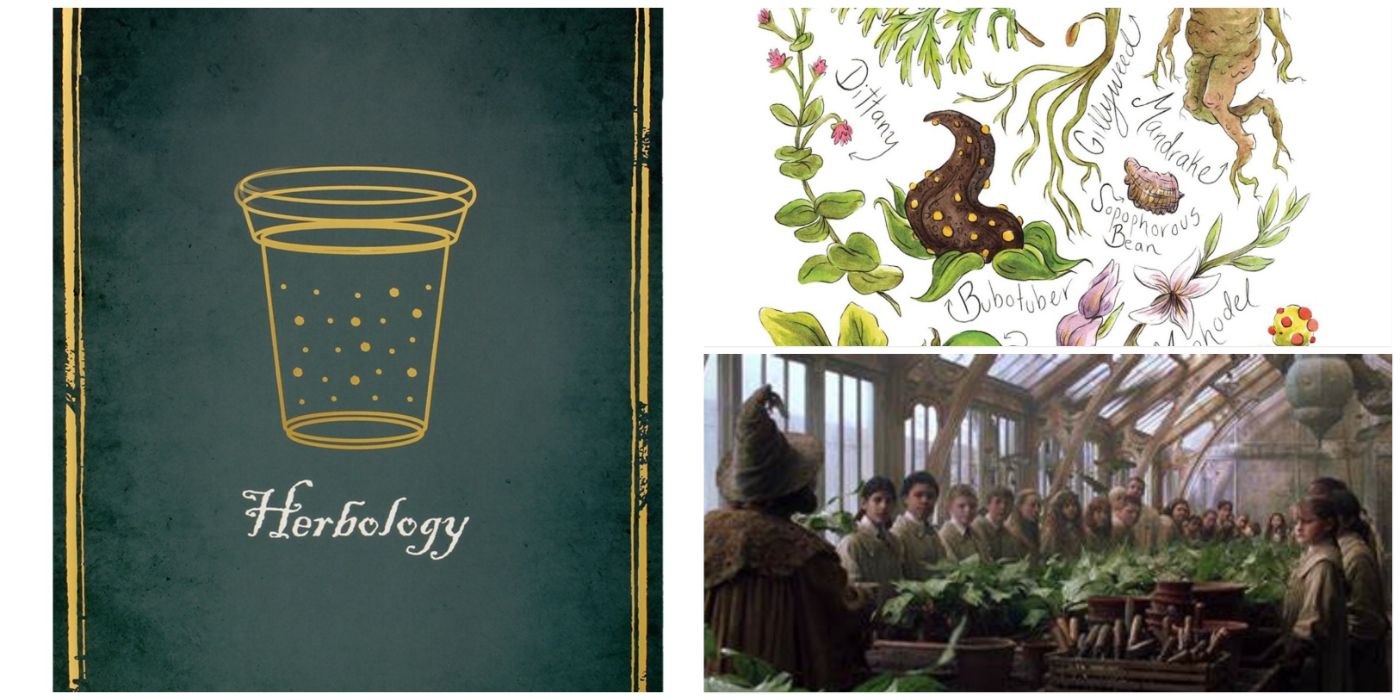 Top 10 Most Deadly Plants In Hogwarts' Herbology