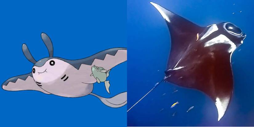 20 Pokémon That Are Basically Real Animals