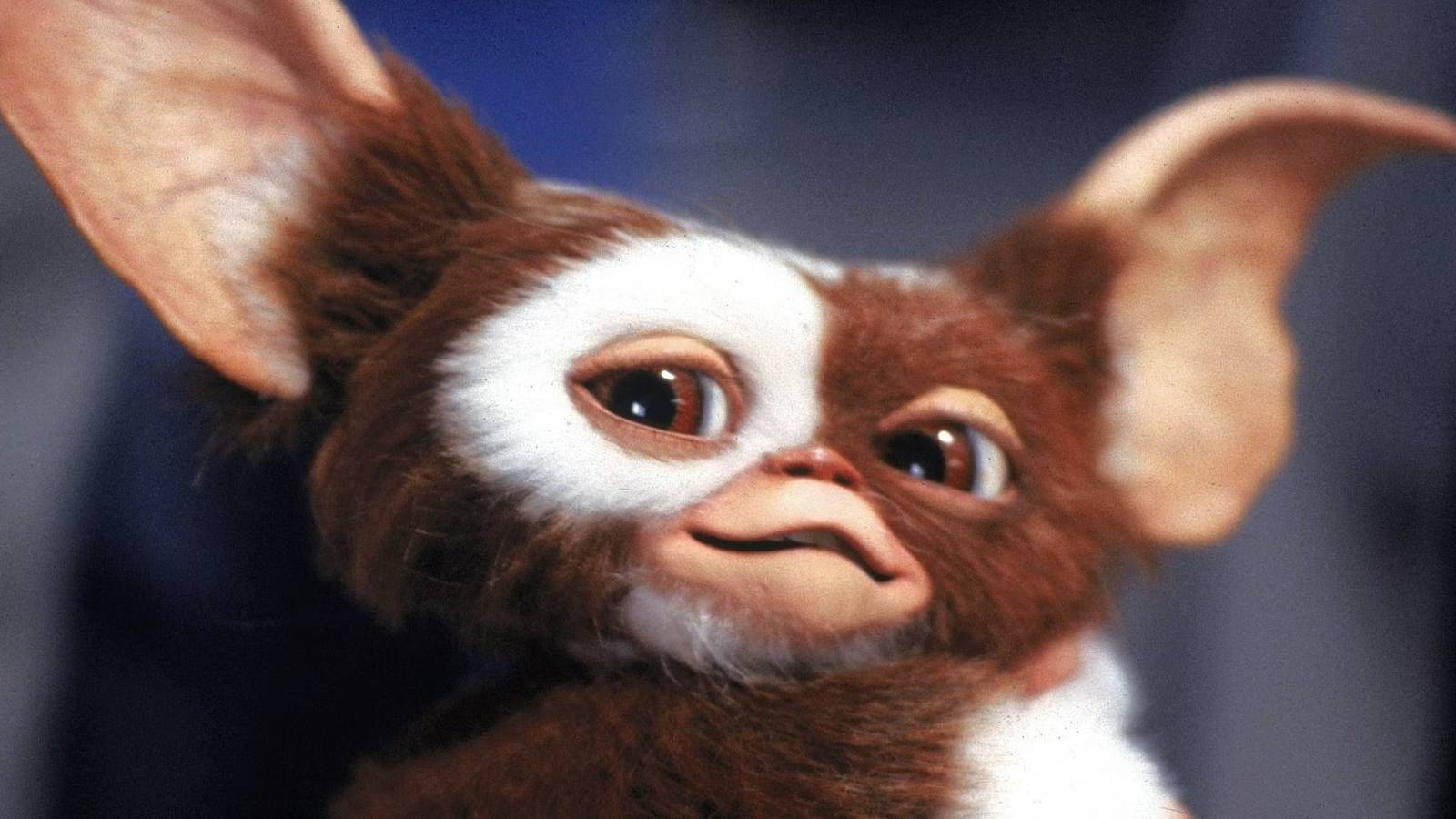 Gremlins 3 May Be Bringing Back Howie Mandel as the Voice of Gizmo