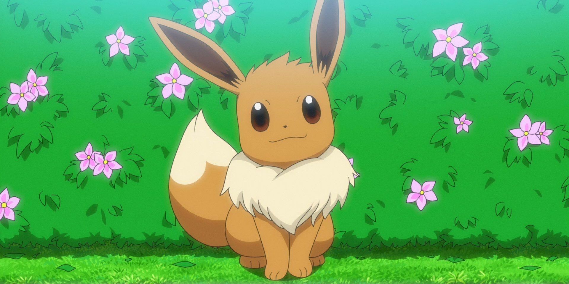 Eevee sentado na frente de um arbusto florido no anime Pokémon.