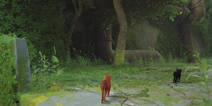 Stray: Territory Trophy & Scratching Guide