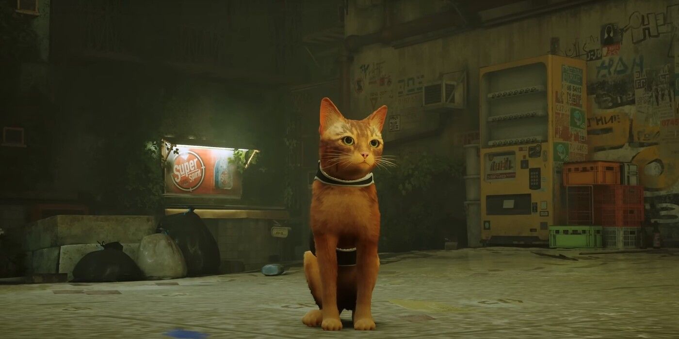 Stray: Translating The Fictional Language Guide