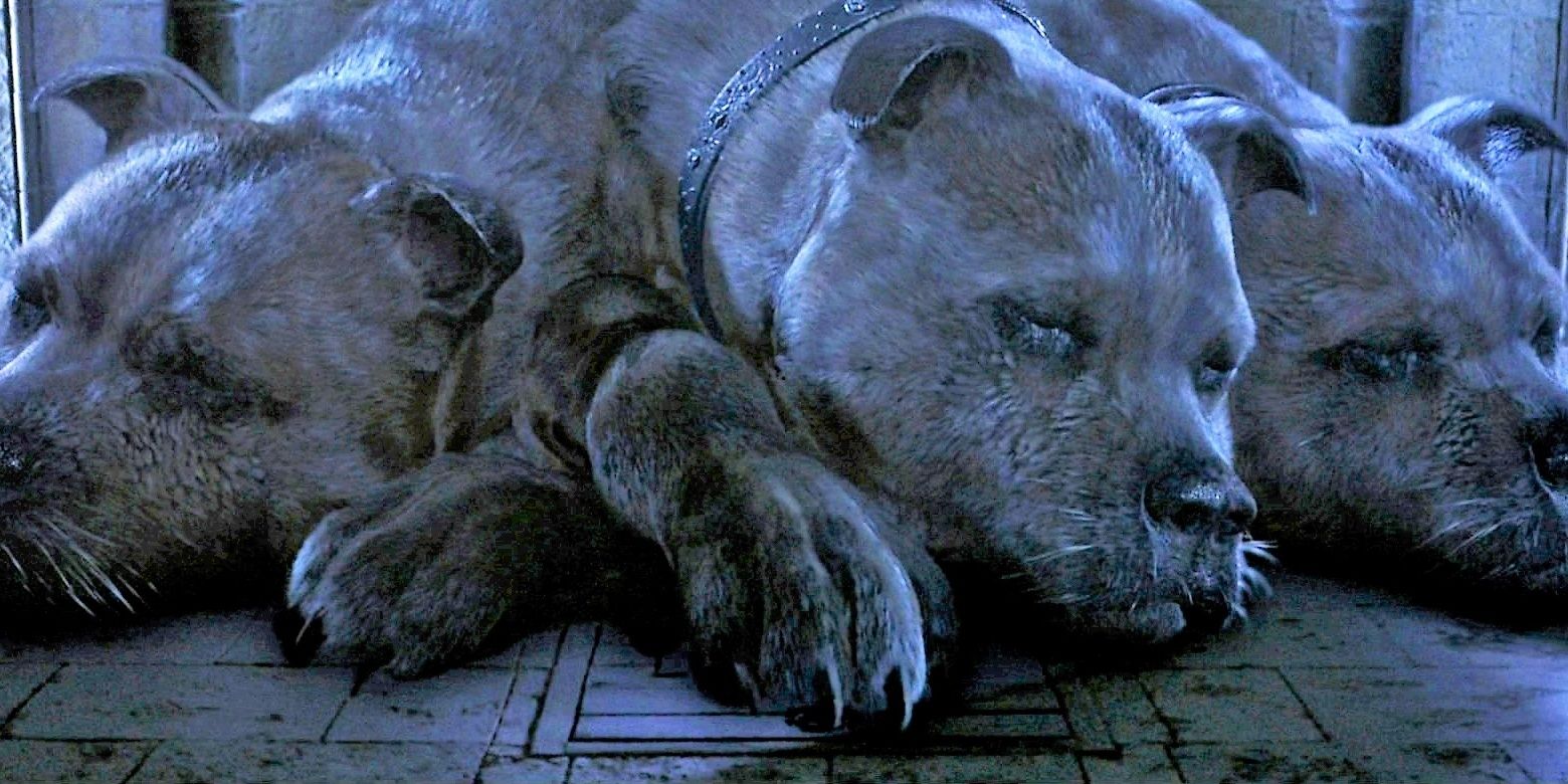 Every Protector of The Sorcerer's Stone in Harry Potter