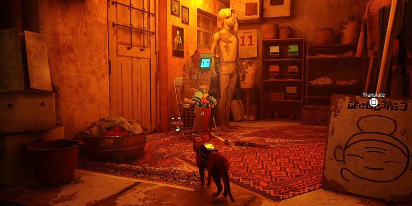 Stray's 10 Greatest Puzzles