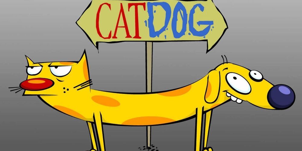 CatDog Standing By Sign