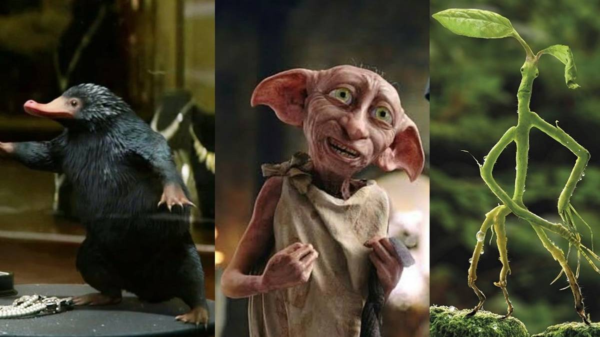 10 Fan Favorite Harry Potter Creatures