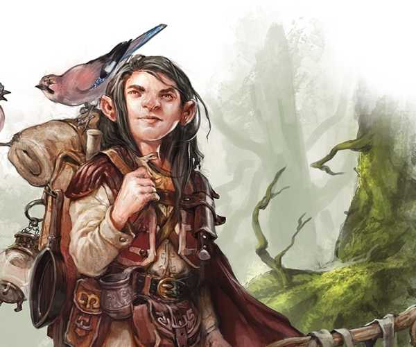 A gnome Druid is accompanied by birds wandering the forest in Dungeons and Dragons.