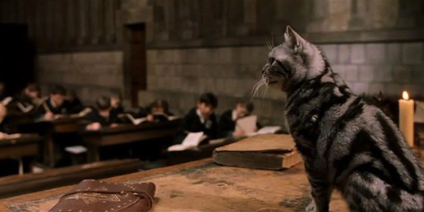 How Do Witches and Wizards Become an Animagi in Harry Potter?