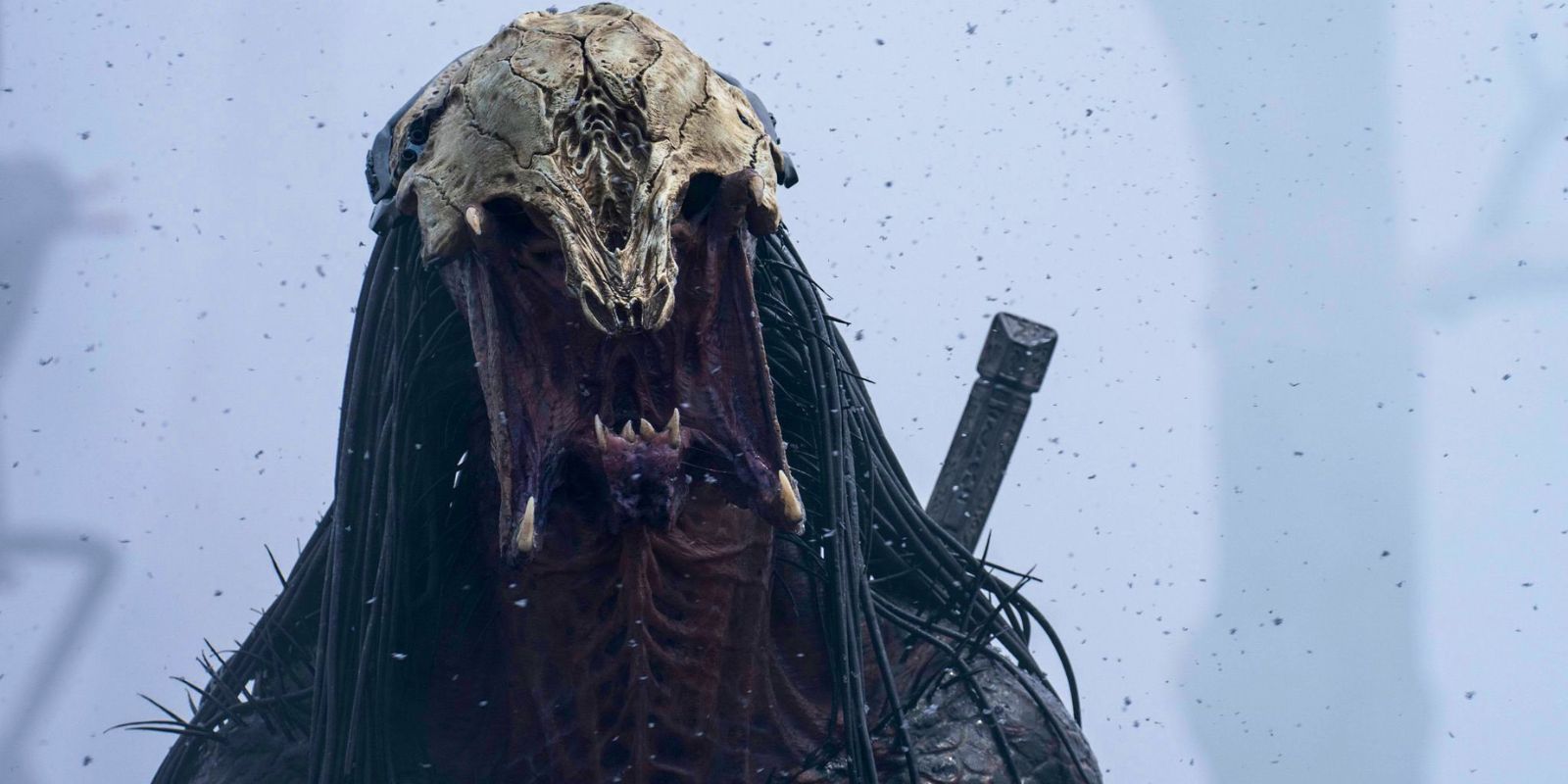 Predator Prequel Prey Gets New Streaming Home (After Amber Midthunder ...