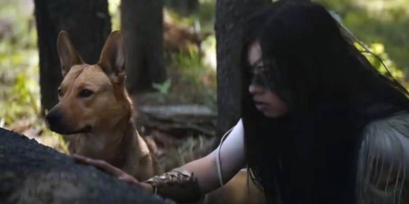 10 Best Movie Dogs