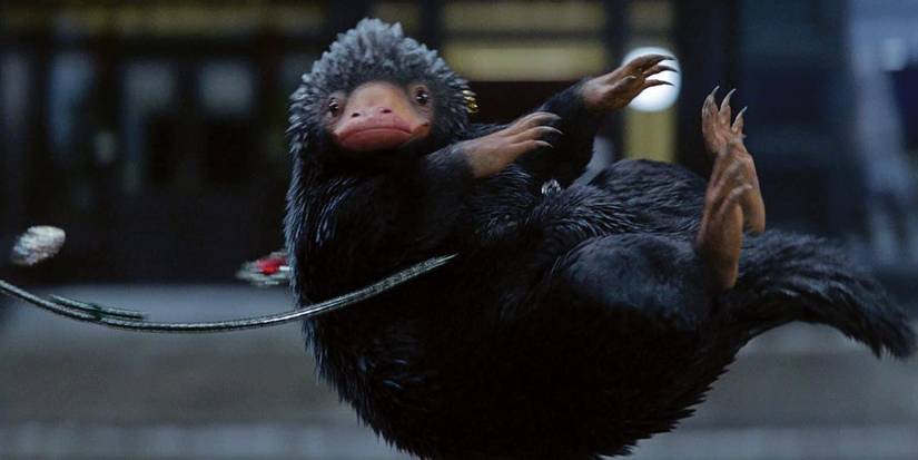 10 Fantastic Beasts the Harry Potter Reboot Needs to Include