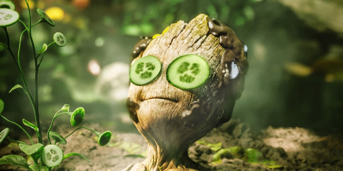 groot | CBR