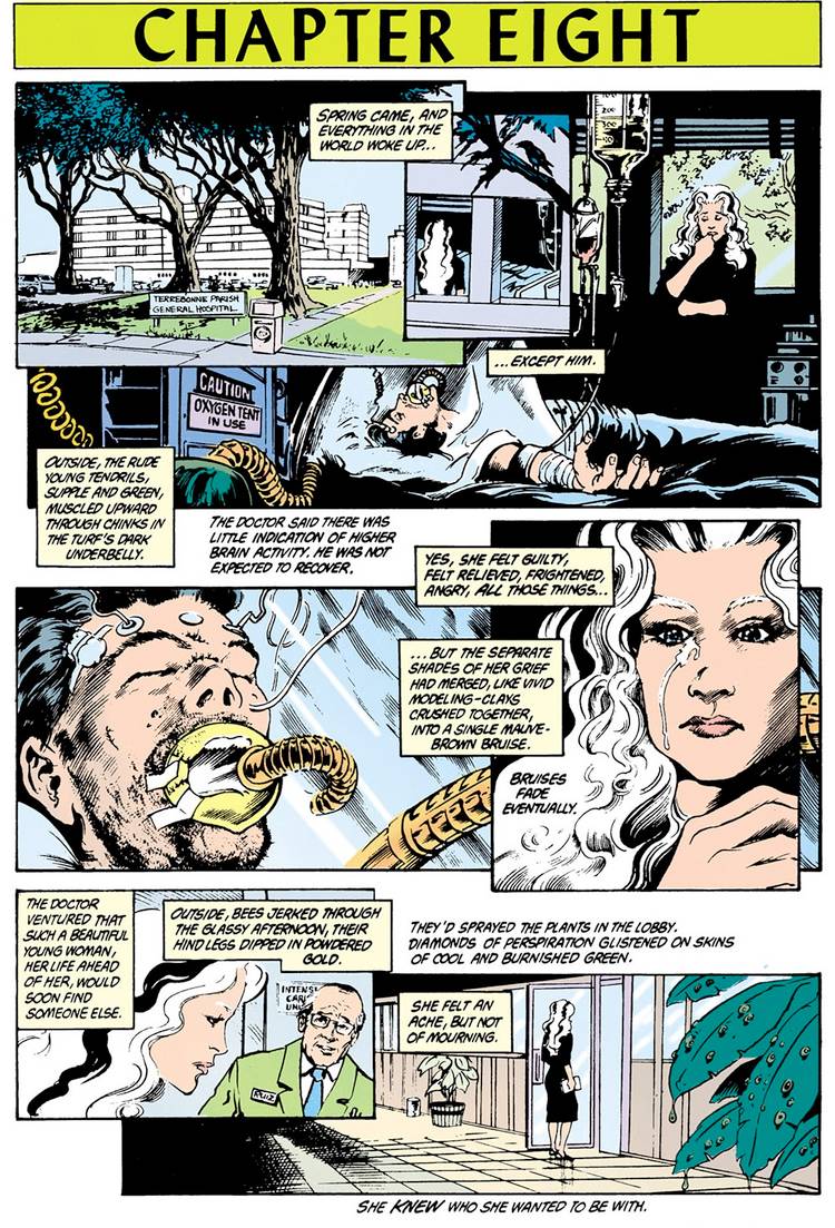 See the Surprising Comic Book Origins of The Sandman's Matthew the Raven